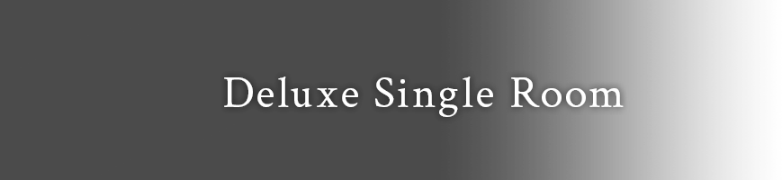 Deluxe Single Room