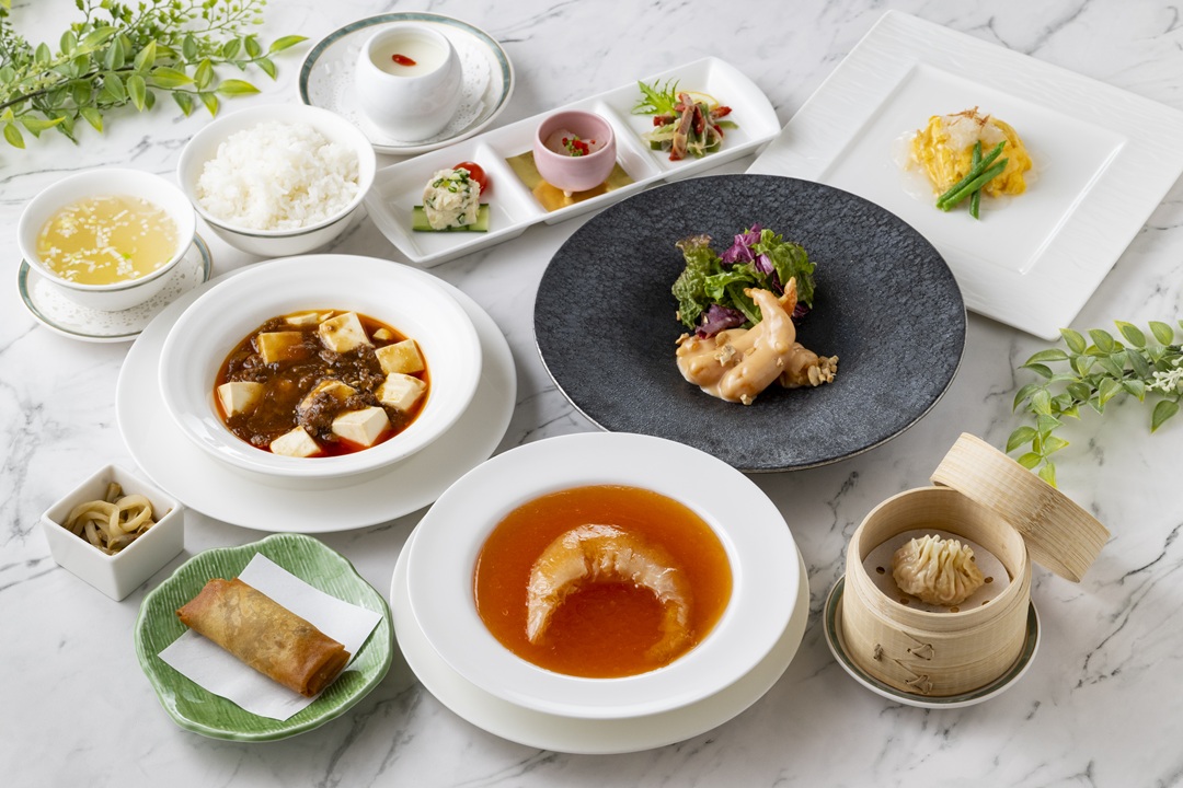 【8月限定】ふかひれ姿煮ランチ
