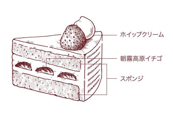 クリスマスイチゴショートケーキ 15cm 断面図