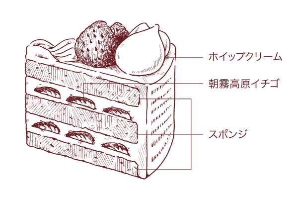 クリスマスイチゴショートケーキ 18cm 断面図